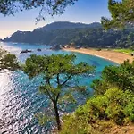 Mango Lloret de Mar