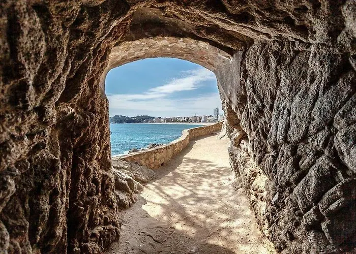 Mango 滨海略雷特