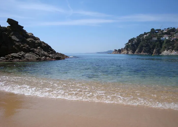 Mango * 滨海略雷特