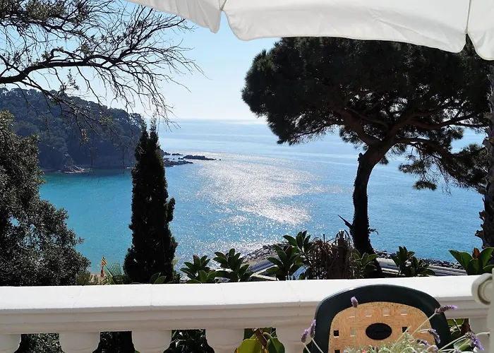 Mango 滨海略雷特